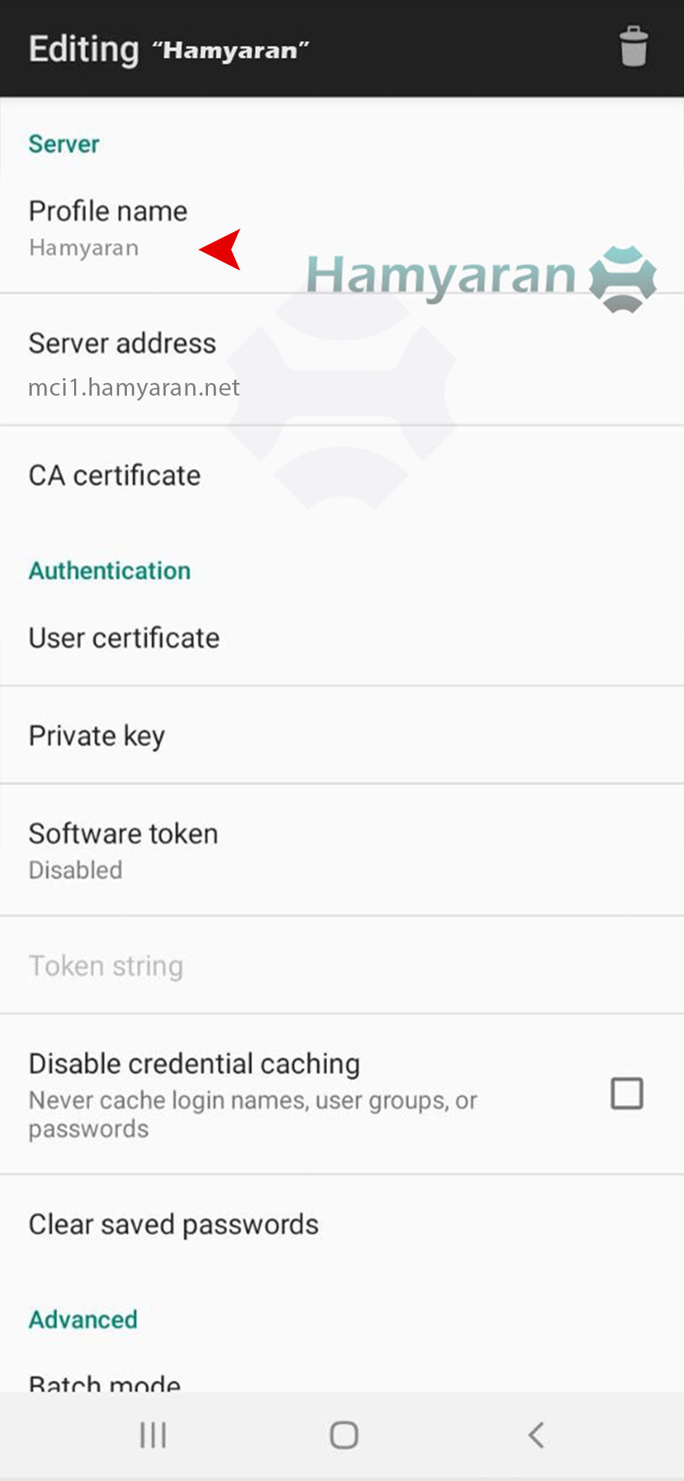 نام کانکشن openconnect